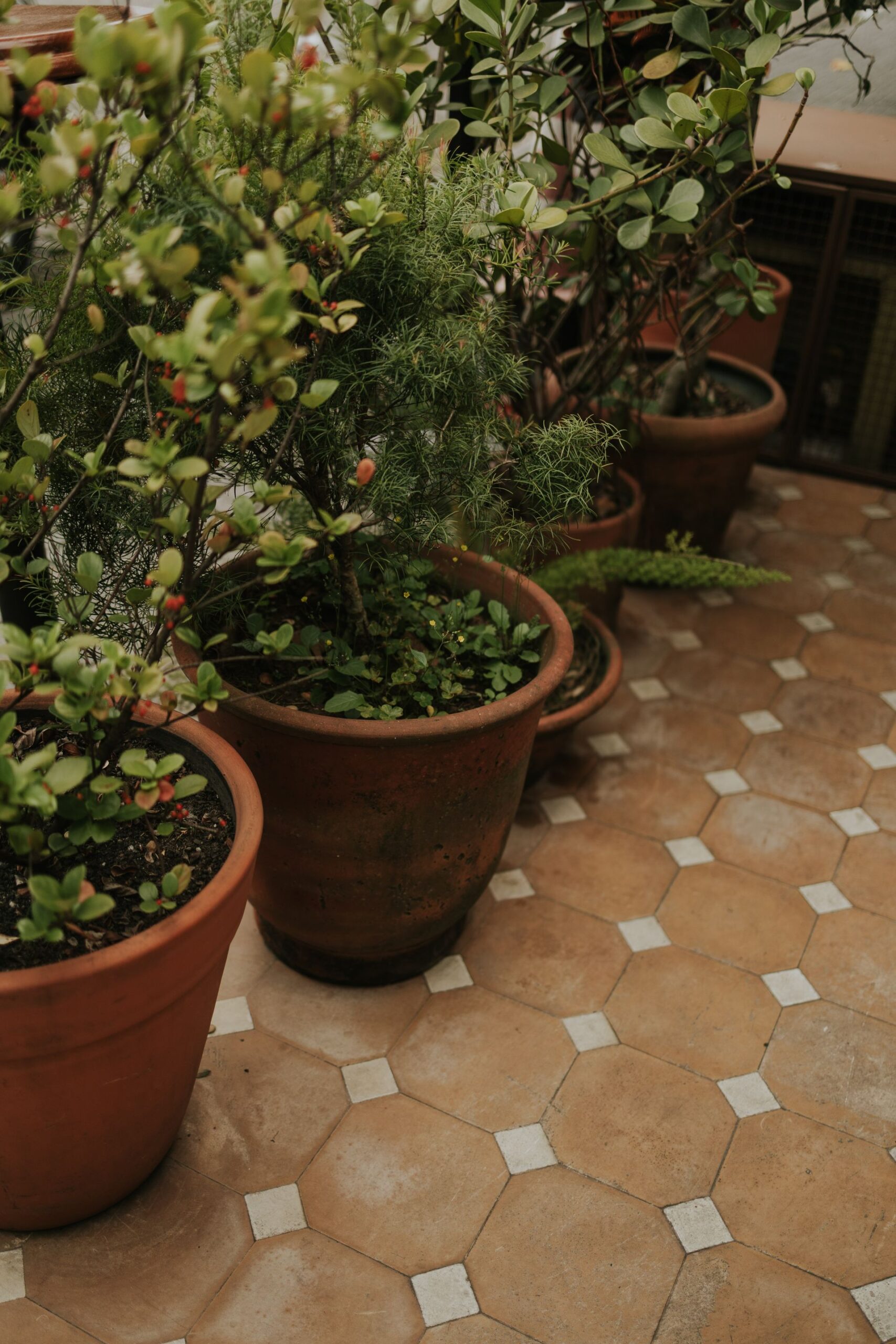 Antique terracotta cotto floor tiles
